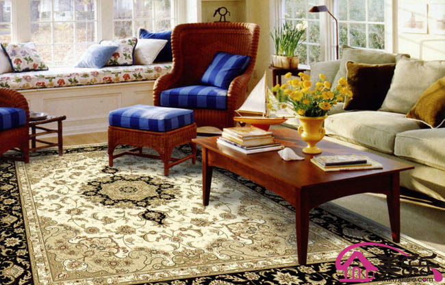 ������������˾����������