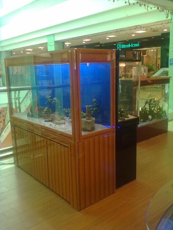 �x���~�׽Ӽ{