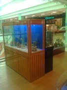 �x���~�׻���