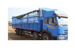 �x���L;���w��ҷ���(w��)