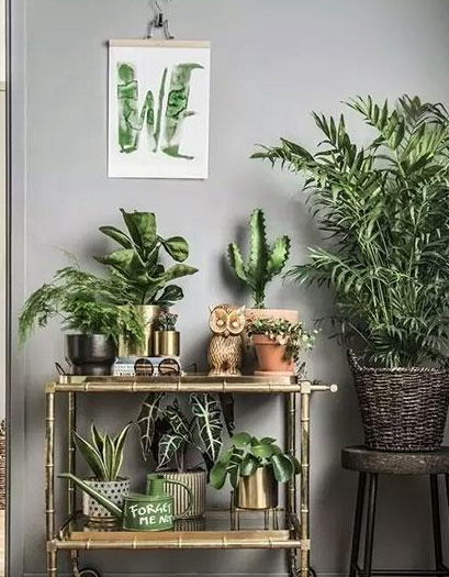 ֲ���L(f��ng)ˮ�W(xu��)������ϲ�Ô[ֲ��쿴����қ_ɷ�˛](m��i)��